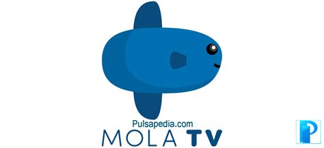 Tentang Mola TV - Matrix TV