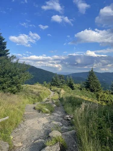 2023 Best 10 Walking Trails In Cherokee National Forest Alltrails