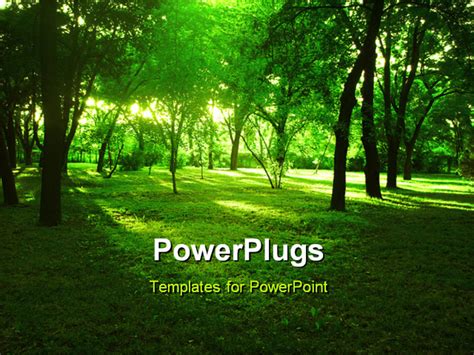 PowerPoint Template: bright summer forest with green grass and huge ...