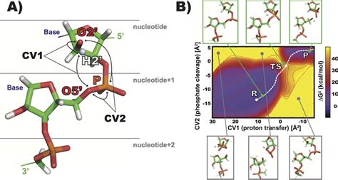 A Selection Of Qm Region And Definition Of Collective Variables