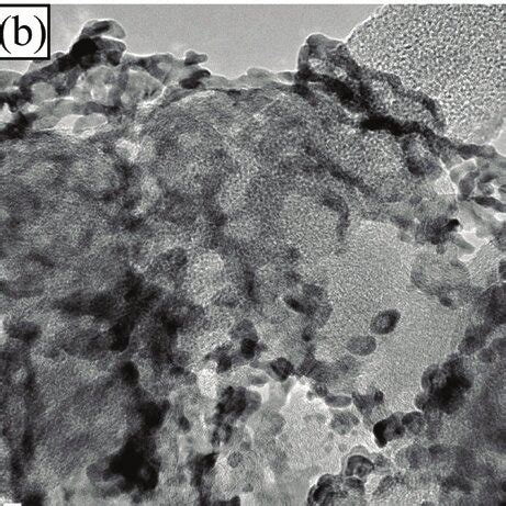 TEM Images Of Pd Deposits From 0 1 M NaCl Solution With Different