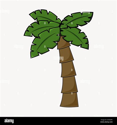 Palm Tree Clipart Tropical Illustration Vector Stock Vector Image