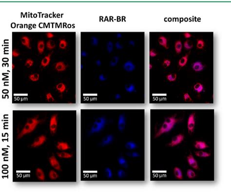 Figure From New Highly Sensitive And Specific Raman Probe For Live