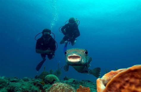 Visiting St Martin S Island The Amazing Coral In Bangladesh Tourrom