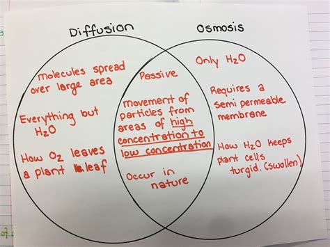 Osmosis And Diffusion Venn Diagram