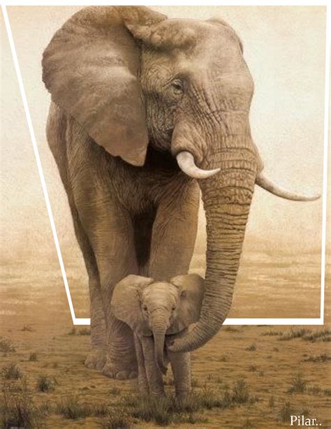 Pilar Y Sus Complices Mama Elefante Y Su Cria