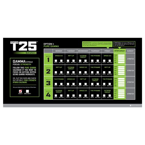 Focus T25 Gamma Schedule