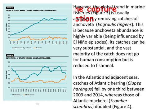 The Main Aquatic Species Employed As Food Resources An Overview Ppt