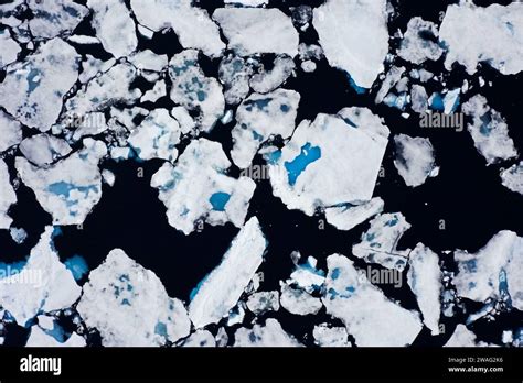 Aerial View Over Sea Ice Drift Ice Ice Floes With Melt Ponds