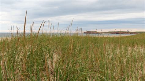 Accès à La Plage De La Grande Échouerie Réserve Nationale Flickr