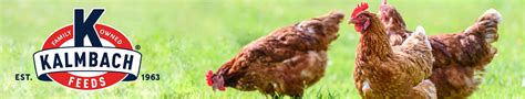 Kalmbach Feeds Organic 17 Layer Crumbles Chicken Feed 35 Lb Bag