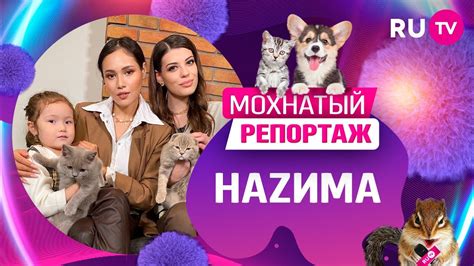 Мохнатый репортаж: NAZИMA - YouTube