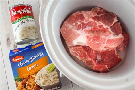 3 Ingredient Crock Pot Pork Chops The Food Hussy