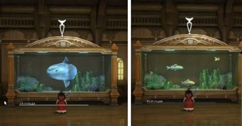 【ff14】アクアリウム 水槽 新生ff14攻略 とあるララフェルの冒険録