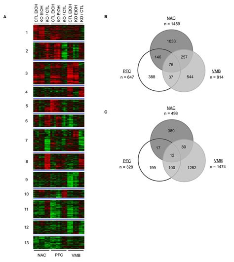 Basal And Ethanol Responsive Gene Expression Differences Between Fyn