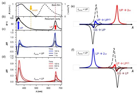 A Steady State Absorption And Fluorescence Spectra Of 4CzIPN And B