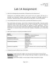 Lab 14 Assingment Docx Lopez Laura Prof Lee Spr 22 4 23 22 Lab