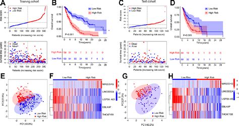 Figure From The Development And Experimental Validation Of Hypoxia