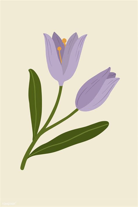 Blooming Purple Botanical Flower Illustration Free Image By Rawpixel