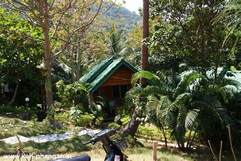 Koh Phangan Coconut Beach And Garden Bungalows Fotogalerie Koh Phangan