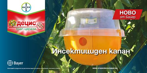 Децис Трап - Инсектициден капан - Bayer Crop Science България