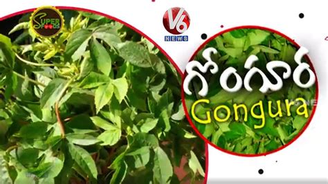 Amazing Health Benifits Of Gongura Sour Spinach Super Foods V6