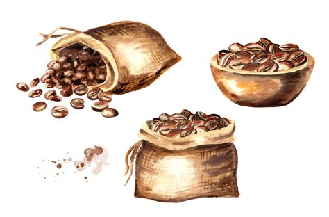 Coffee Bean Watercolor Collection Illustrations Design