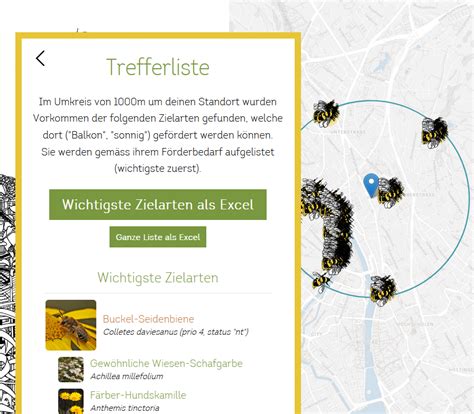 Bee Finder Lokale Wildbienen Gezielt F Rdern Somaha Stiftung