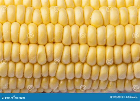 Texture Of Yellow Elote Grains Stock Image Image Of Pieces White