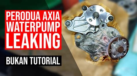 23 PERODUA AXIA WATERPUMP LEAKING BUKAN TUTORIAL YouTube