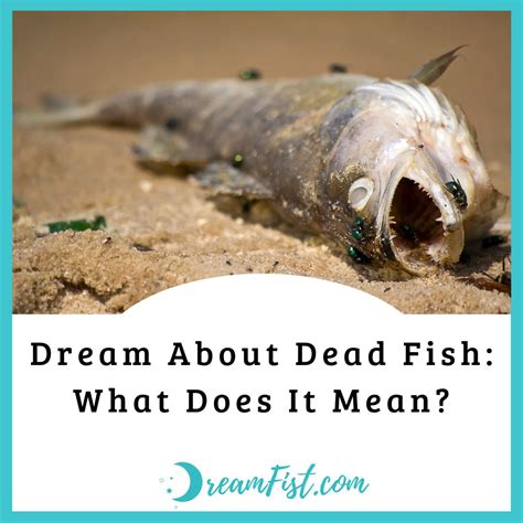 Dream About Dead Fish: What Does It Mean? - DreamFist