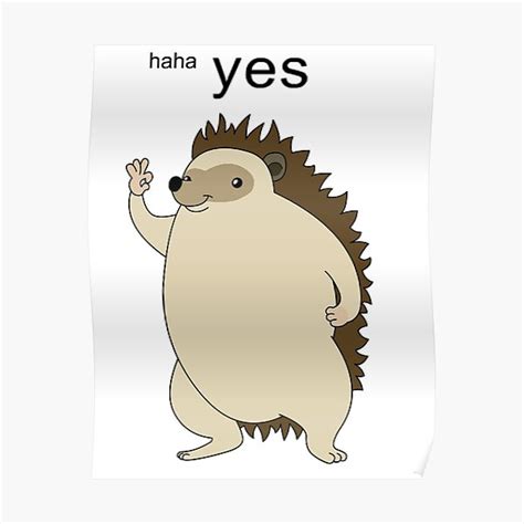 Haha Yes Hedgehog Poster By Melonpie Redbubble