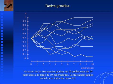 PPT CAPÍTULO 10 LA DERIVA Deriva genética Efecto fundador y