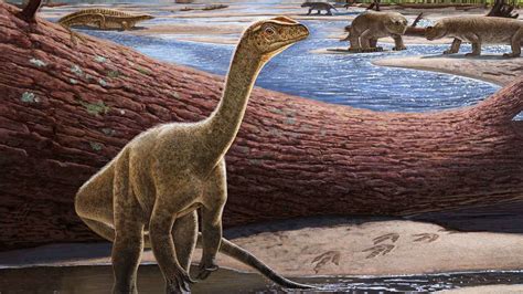 Africas Oldest Dinosaur Discovered And Named
