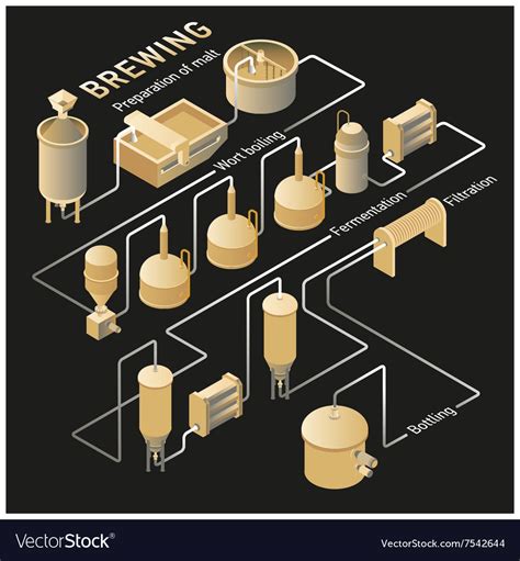 Isometric Beer Brewing Process Infographic Vector Image