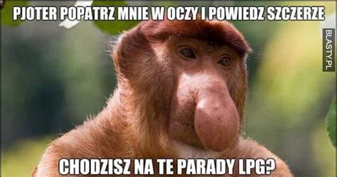 Pjoter Popatrz Mnie W Oczy I Powiedz Szczerze Chodzisz Na Te Parady Lpg