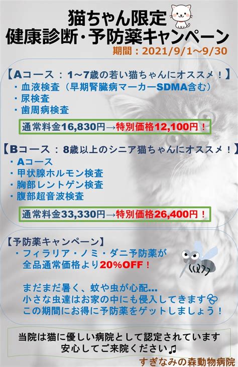 猫ちゃん限定の健康診断キャンペーン｜お知らせ｜すぎなみの森動物病院｜杉並区久我山・西荻窪・高井戸｜日曜祝日も診療