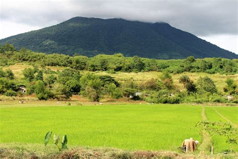 Mount Arayat Majestic Mountain Topping The Plains Of Centr Flickr