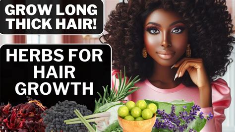 6 Powerful Herbs For Fast Hair Growth Best Treatments Stop Hair From