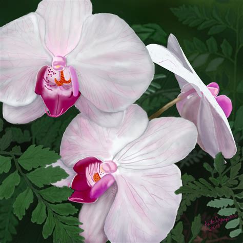 Hawaiian Orchids ← a photorealism Speedpaint drawing by Kutedymples - Queeky - draw & paint