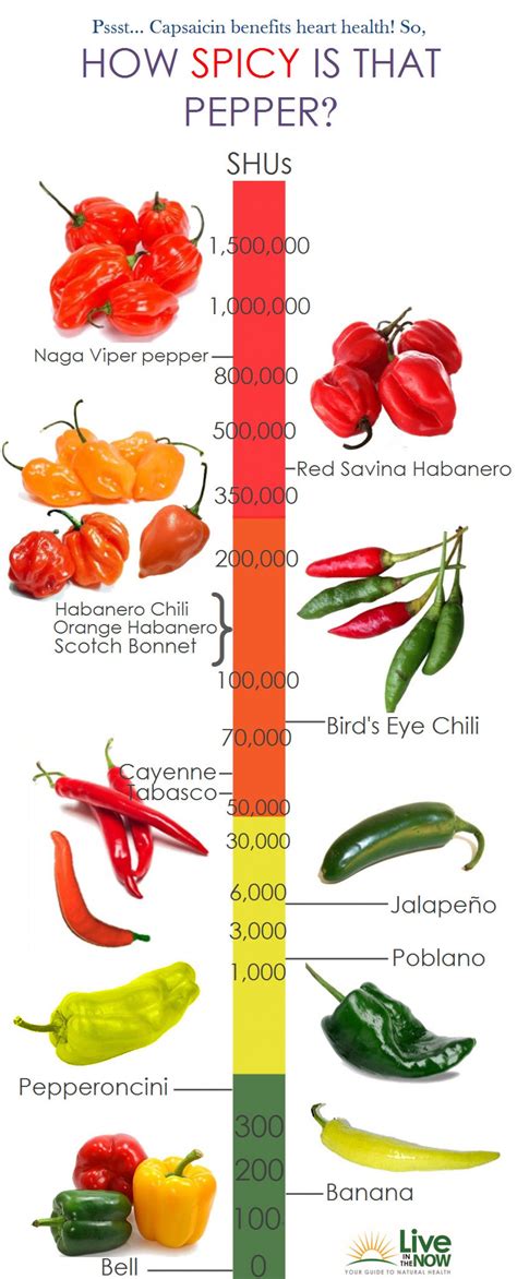 How Spicy Is That Pepper Visually Tipos De Pimenta Ervas Fotos De Frutas E Legumes