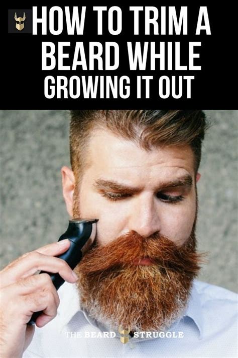 How To Trim And Shape A Beard In Depth Guide The Beard Struggle