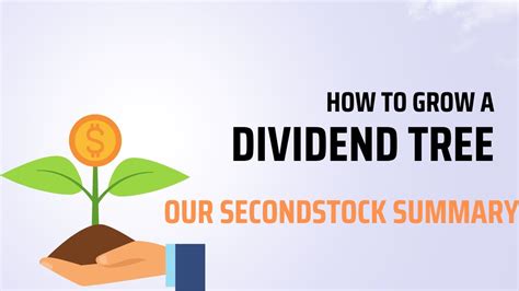 Fundamentally strong dividend paying company For Beginners मलक रप स