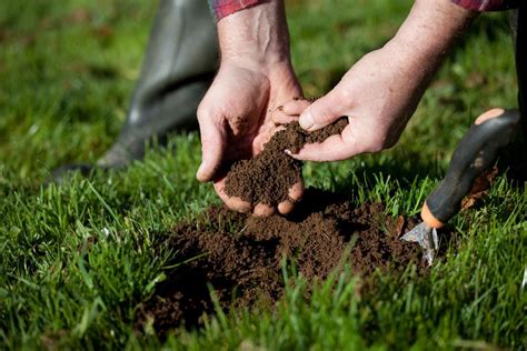 How To Grow Grass In Clay Soil In 5 Simple Steps