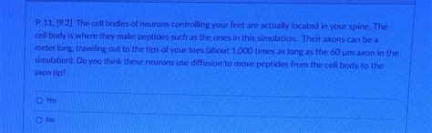 Solved P. 11,[9.2] The cell bodies of neurons controlling | Chegg.com 