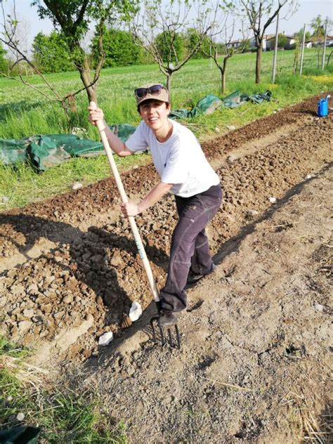 Sviluppo Rurale Del Veneto Aperti I Bandi Confagricoltura Veneto