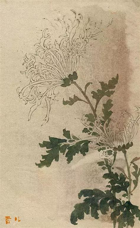 画菊专家的菊花与他的百花图集，艳绝！（130幅） 每日头条