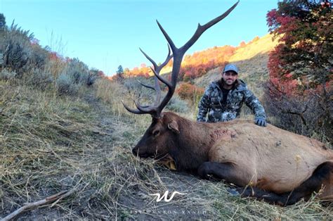 Guided Elk Hunts | Guaranteed Elk Hunting | West Canyon Ranch