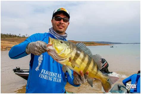 5º Torneio Pesca Três Marias 2014 Largada e Medição Peixes