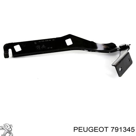 Peugeot Citroen Bisagra Cap Del Motor Derecha Comprar Barato